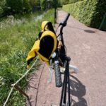 Die Fahrradsache
